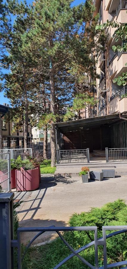 Agent Lux Apartments Jagodina Dış mekan fotoğraf